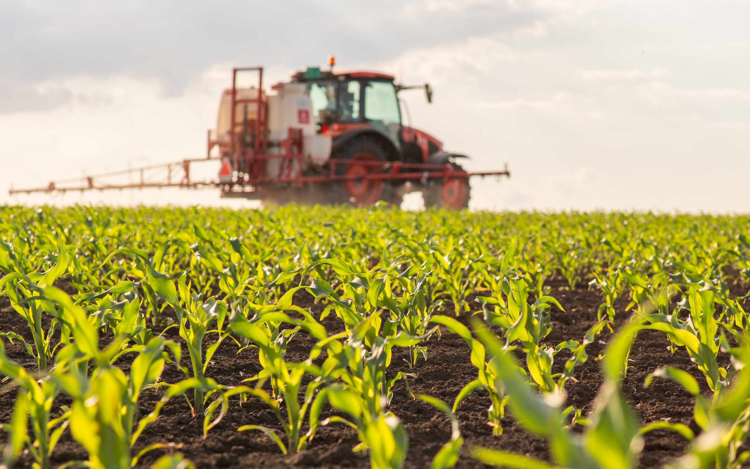 How B.C. agri-food businesses can tap into global demand